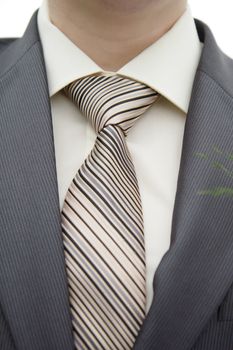 beige shirt, jacket and tie groom close
