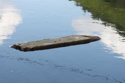 Treibholz schwimmt auf einen kleinen Bach stromabwärts	
Driftwood floating downstream on a small stream
