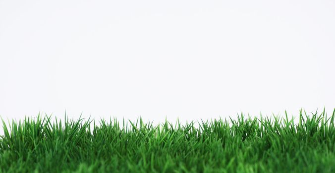 Green field on white background