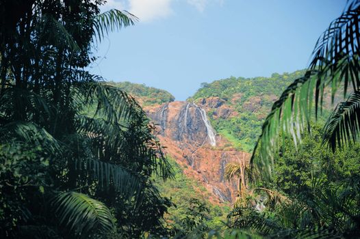 Waterfall Dudhsagar in Goa. Indian National Park