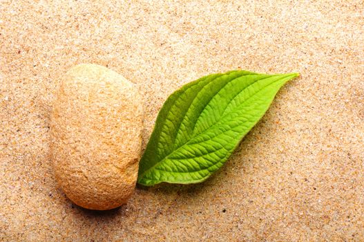 zen or spa concept with stone leaf and sand