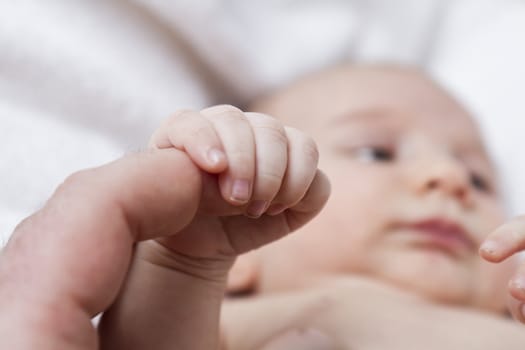 nursling holding finger of adult person. depth of field with focus on finger and hand