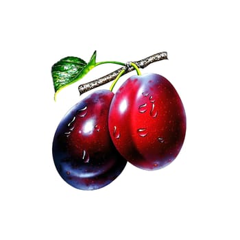 Results in fruit tree 2 plums