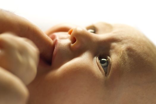 young child in close up shot while sucking finger of adult