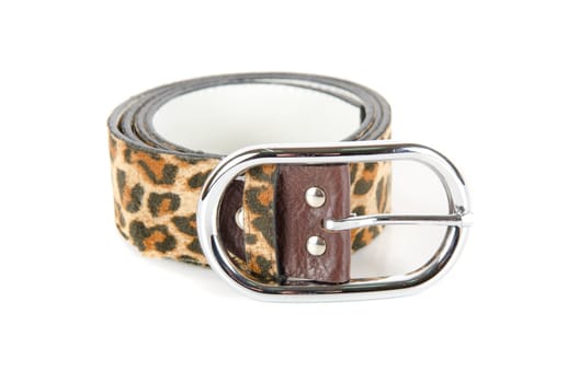 leopard belt isolated on a white background