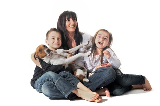 portrait of a puppy purebred jack russel terrier and family on a white background