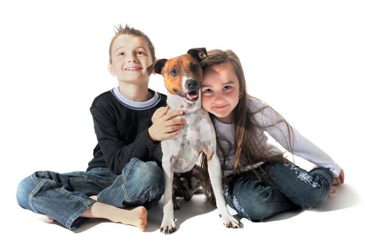 portrait of a puppy purebred jack russel terrier and children on a white background