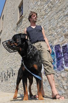 rottweiler with his muzzle and young man in city