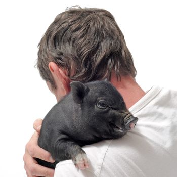 little black piggy and man  in front of white background