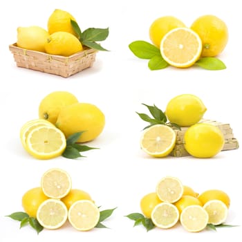 collection of fresh lemons
