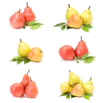 collection of fresh pear fruits