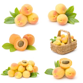 collection of fresh apricot fruits