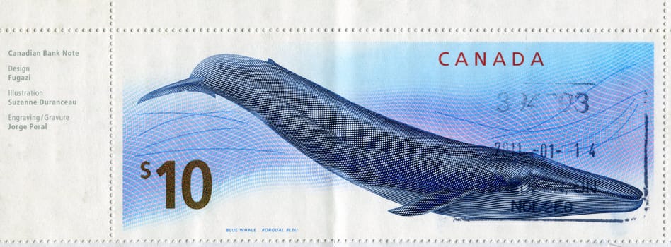 CANADA - CIRCA 2001: stamp printed by Canada, shows whale, circa 2011