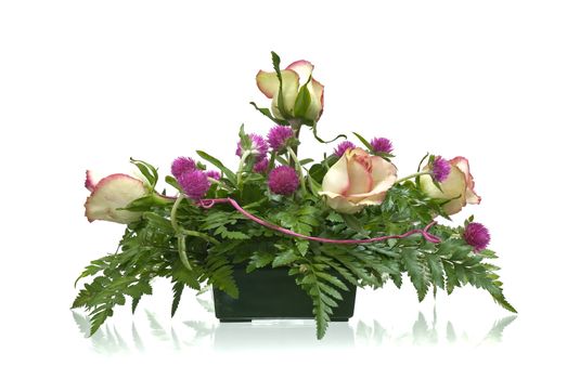Bouquet of roses on white background.