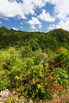 Beautiful landscape of Guajataca Forest Reserve in Puerto Rico.