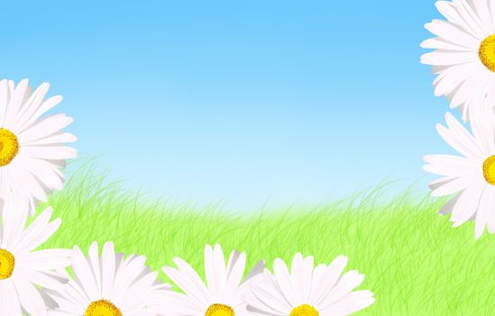 Spring or Mother day background: Beautiful daisies as border to green grass and blue sky with copy space      