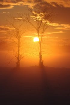 a romantic misty winter golden orange sunset