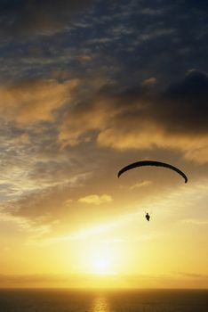 Paraglider