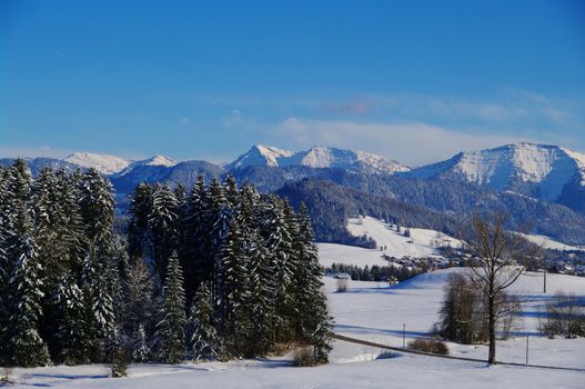 beautiful snowy winter landscape at Christmas time