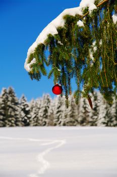 a red bauble in a winter landscape