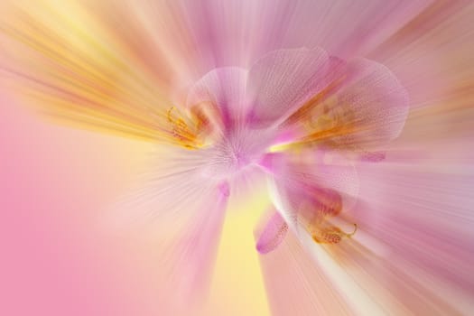 colorful background for tickets, postcards or Web sites