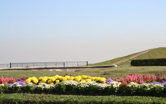 flower-bed in the well-groomed park
