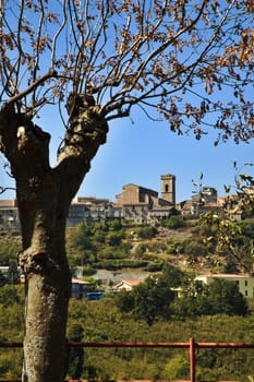 Italian cathedral and tree