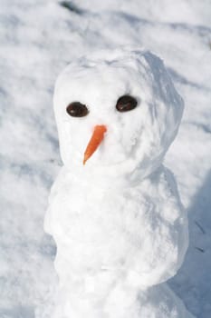 beautiful winter mood.snowman in winter.