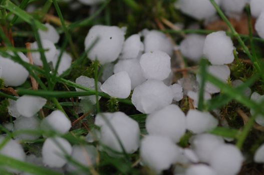 hail balls on the ground