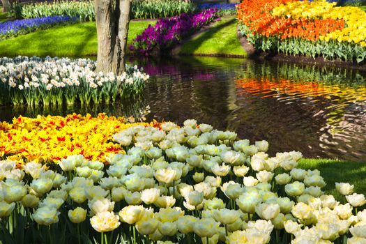 Pond in park with colorful springflowers all around