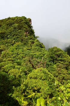 A cloudy rainforest peak in the highlands of Saint Kitts.