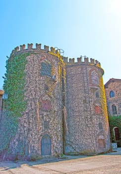 Big towers completely recovered by vegetation under blue sky