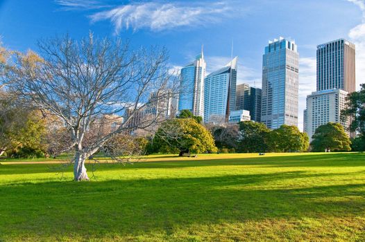 park and buildings in sydney, australia