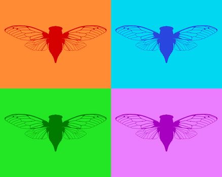 Beautiful cicadas