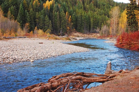 Cool mountain stream in autumn