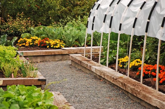 Garden greenhouse