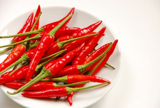 Red chili peppers on white plate