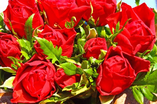Flowers of red roses in a bouquet