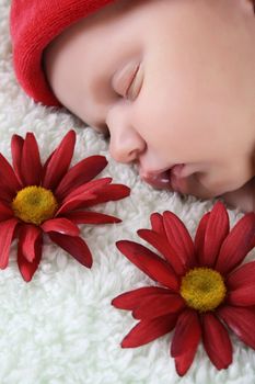 Beautiful newborn baby girl sleeping on a fluffy green blanket