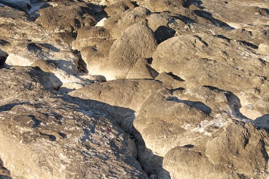 The surface of the rock beach. Close-up.