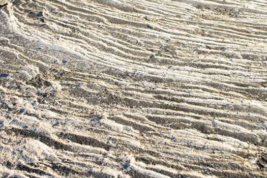 The surface of the rock beach. Close-up.