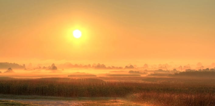 Fields in fog after sunrise