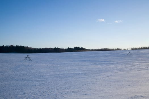 winter day
