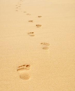 Footprints on the beach stretching into the distance