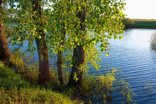 sunset on the lake a cloudless summer day