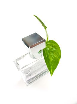 Scent bottle isolated on a white background