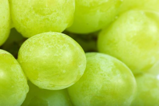 Closeup view of green grapes