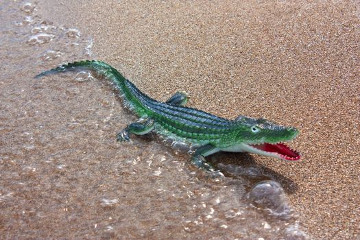 Toy crocodile on the beach