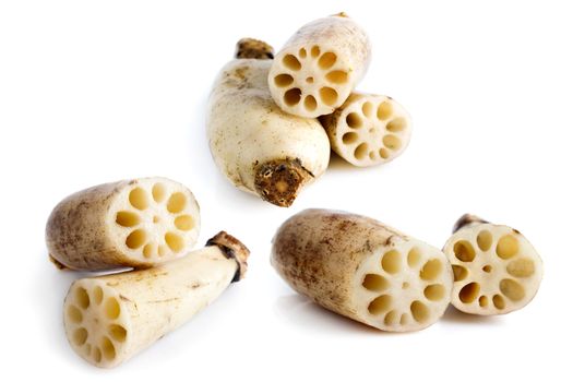 Close up fresh Lotus root on white background