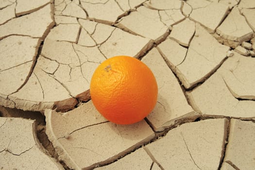 Juicy orange on dried and cracked earth.